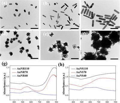 Folic Acid–Functionalized Composite Scaffolds of Gelatin and Gold Nanoparticles for Photothermal Ablation of Breast Cancer Cells